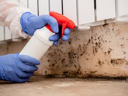 Best Asbestos and Lead Testing During Mold Inspection  in Winston, OR